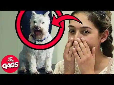 Top 10 Evil Pranks | Just For Laughs Gags