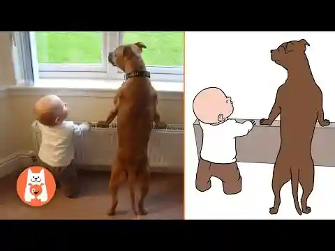 Videos Graciosos de Perros y Bebés 😂 Bebés y Cachorros Creciendo Juntos #6 | Espanol Funniest Videos
