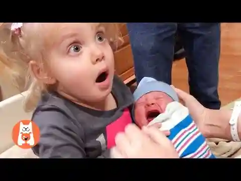Momentos Divertidos de Hermanos y Bebés | Video de risa