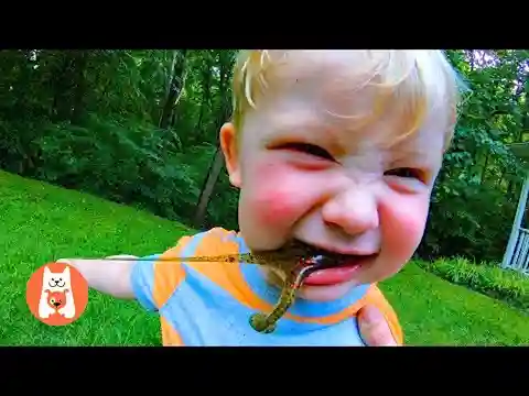Reír es perder🤣 Divertidas Reacciones de Bebés al Comer | Video de risa