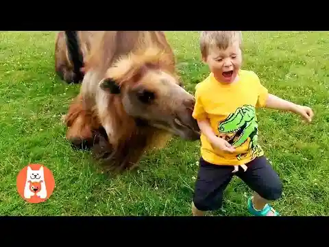 Risas y Juegos en la Granja con Bebés | Videos Graciosos | Video de risa