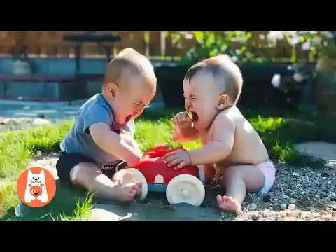 Caídas, Risas y Peleas 🤣 Momentos Divertidos de Bebés y Hermanos | Videos de risa