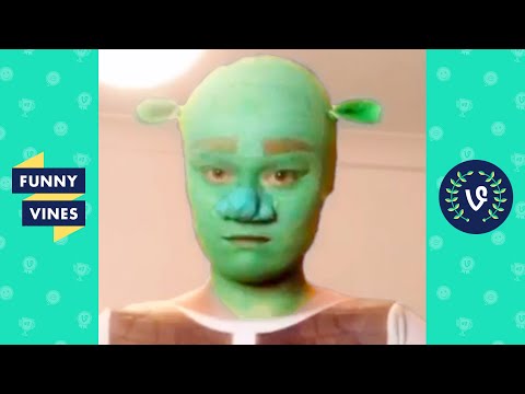 [1 HOUR] FUNNY VIRAL VIDEOS | BEST OF THE YEAR 2020