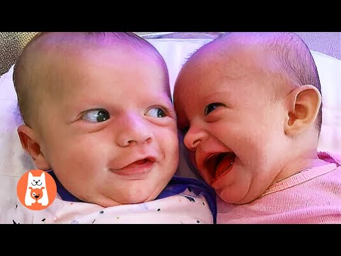 101 Funny Babies of September 2022 - Compilación Divertida de Bebés del Mes | Funny Pets