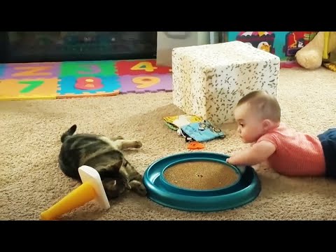 Baby and Cat Funny Fails - Funny Baby Videos😂 [Funny Pets]