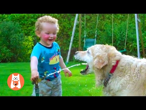 Bebé Disfruta Jugando Agua Con Perro 💦 Bebé Divertido y Mascotas
