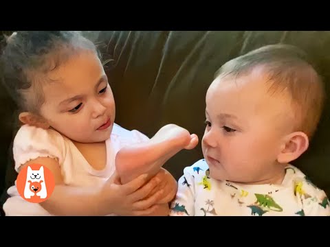 Bebé Divertido y Hermanos Crecen Juntos 💖 Adorable Family Compilation