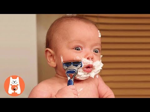 Bebés lindos haciendo cosas divertidas 🤪 Video lindo y divertido