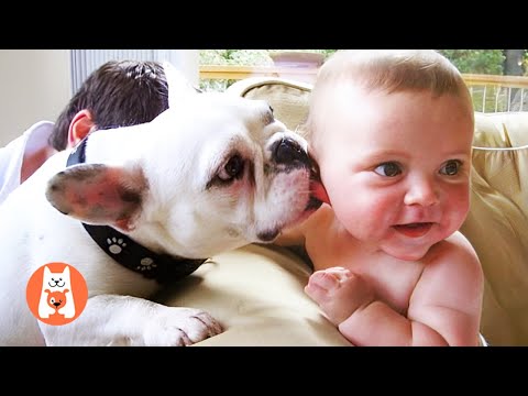 Bebé y Perro Creciendo Juntos #3 - Funny Baby Playing With Dog Compilation - Funny Pets