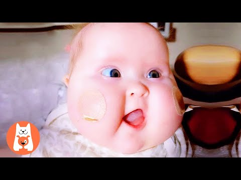 BEST FOR LAUGH 🤪 Bebé súper adorable que derrite el universo