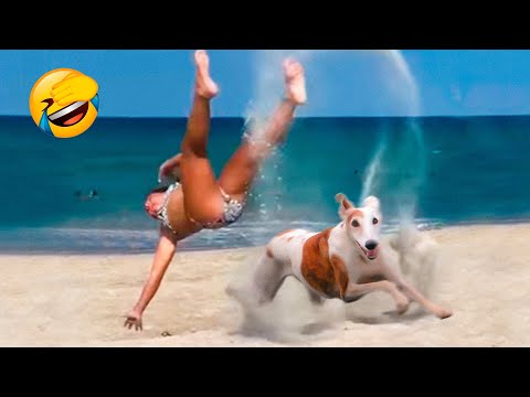 Best Funny Animal Videos 2022 😺 - Funniest Dogs And Cats Videos 😇