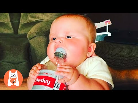 Bottle challenge! Las bebés divertidas son una oponente formidable en cada juego de biberones