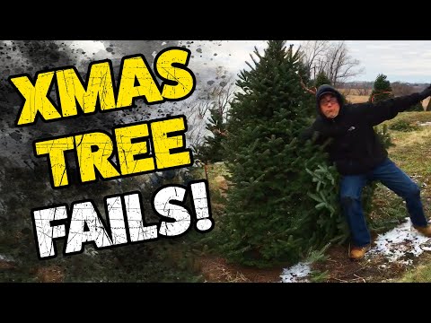 Christmas Tree Fails! | The Best Fails | Hilarious Fail Videos 2019