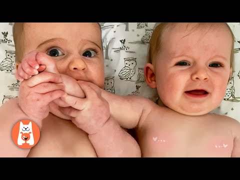 Cutest Twin Ever 😍 Compilación Más Divertida de Bebés Gemelos || Espanol Funniest Videos