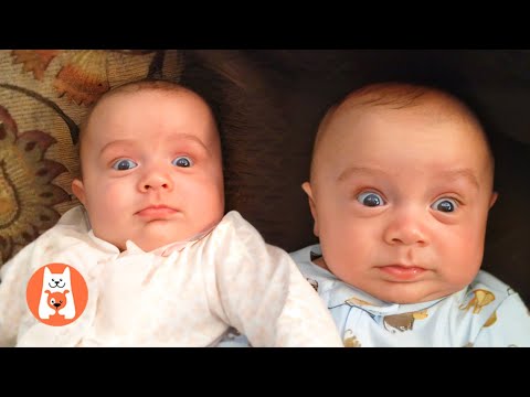Cutest Twins Ever 😍 Mejor Compilación de Bebés Gemelos de la Semana