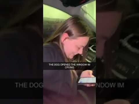 Dog Opened Window During Car Wash #shorts