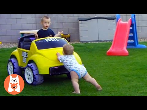 FAST & Furious ★ Bebé divertido se convierte en un veloz corredor detrás del volante