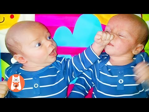 Funniest Baby Videos of Week - Los Mejores Bebés más Divertidos de la Semana