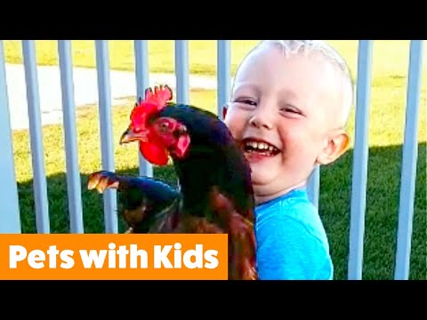 Funniest Kids and Animals | Funny Pet Videos