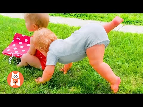 Funny Babies Outdoor Fails 💢 Bebé Divertido Jugando al Aire Libre Falla || Funny Pets