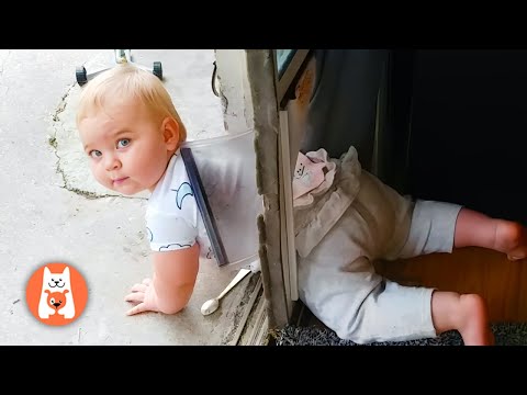 Funny Baby Get Stuck!!! Los Bebés en Problemas y Atascados - Espanol Funniest Videos