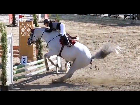 Horses, Ponies and Fails Compilation 2020 😅🐴 [Funny Pets]
