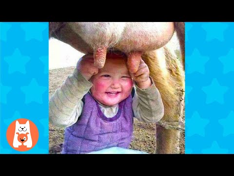 Jurassic Park Secrets ★ Ladrón de bebés comen comida de animales en el zoológico