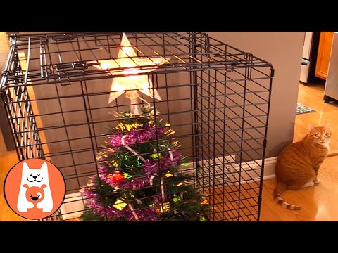 Santa Tell Me-ow! Así ayudan los gatos a las decoraciones navideñas caseras
