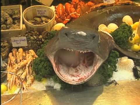 Squirty Shark Prank