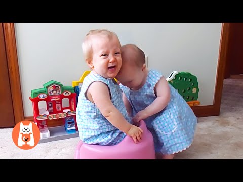 Twins Babies FIGHT Over Things 💢 Videos de Bebés de Gemelos divertidos || Funny Pets
