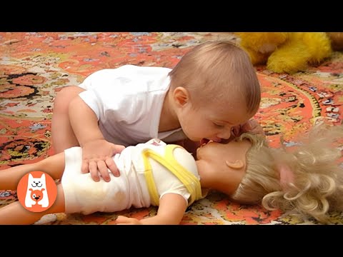 Videos de risa 😂 Los Bebés Tienen Problemas Con Los Besos || Espanol Funniest Videos