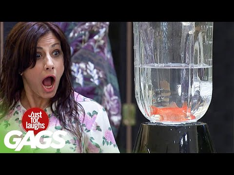 We Turn a Little Girl's Goldfish into a Delicious Smoothie