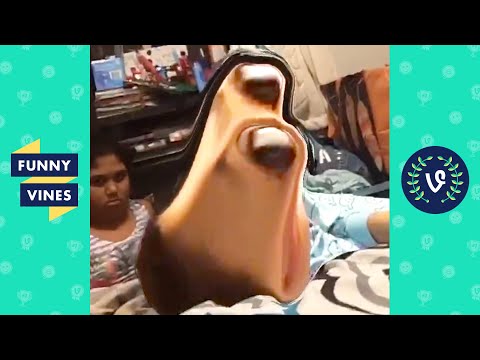 "WTF!? 😂" | TRY NOT TO LAUGH - FUNNY VIRAL CLIPS OF THE WEEK!